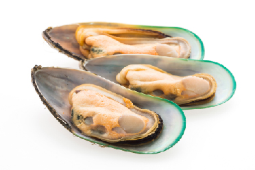 diet-mussels-tasty-white-group1.jpg